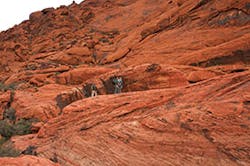 Bulktransporter Com Sites Bulktransporter com Files Uploads 2014 04 Las Vegas C Small Bulktransporter Com Sites Bulktransporter com Files Uploads 2014 04 Las Vegas C Small