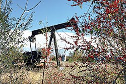 Bulktransporter Com Sites Bulktransporter com Files Uploads 2015 10 Oil Report C Small Bulktransporter Com Sites Bulktransporter com Files Uploads 2015 10 Oil Report C Small