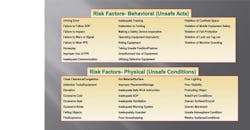 Common risk factors associated with behavioral and physical risks.
