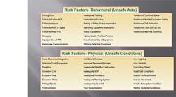 Common risk factors associated with behavioral and physical risks.