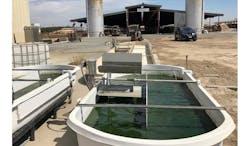 Bulktransporter Com Sites Bulktransporter com Files Quantum Qbi Fiscalini Dairy Smallponds Bulktransporter Com Sites Bulktransporter com Files Quantum Qbi Fiscalini Dairy Smallponds