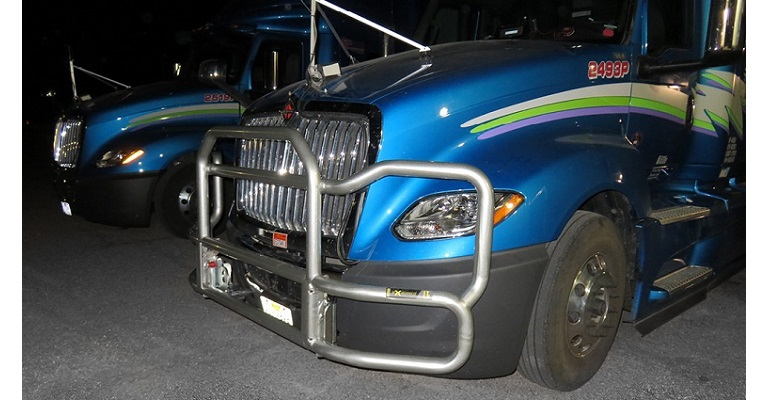 E-Guard grille guard