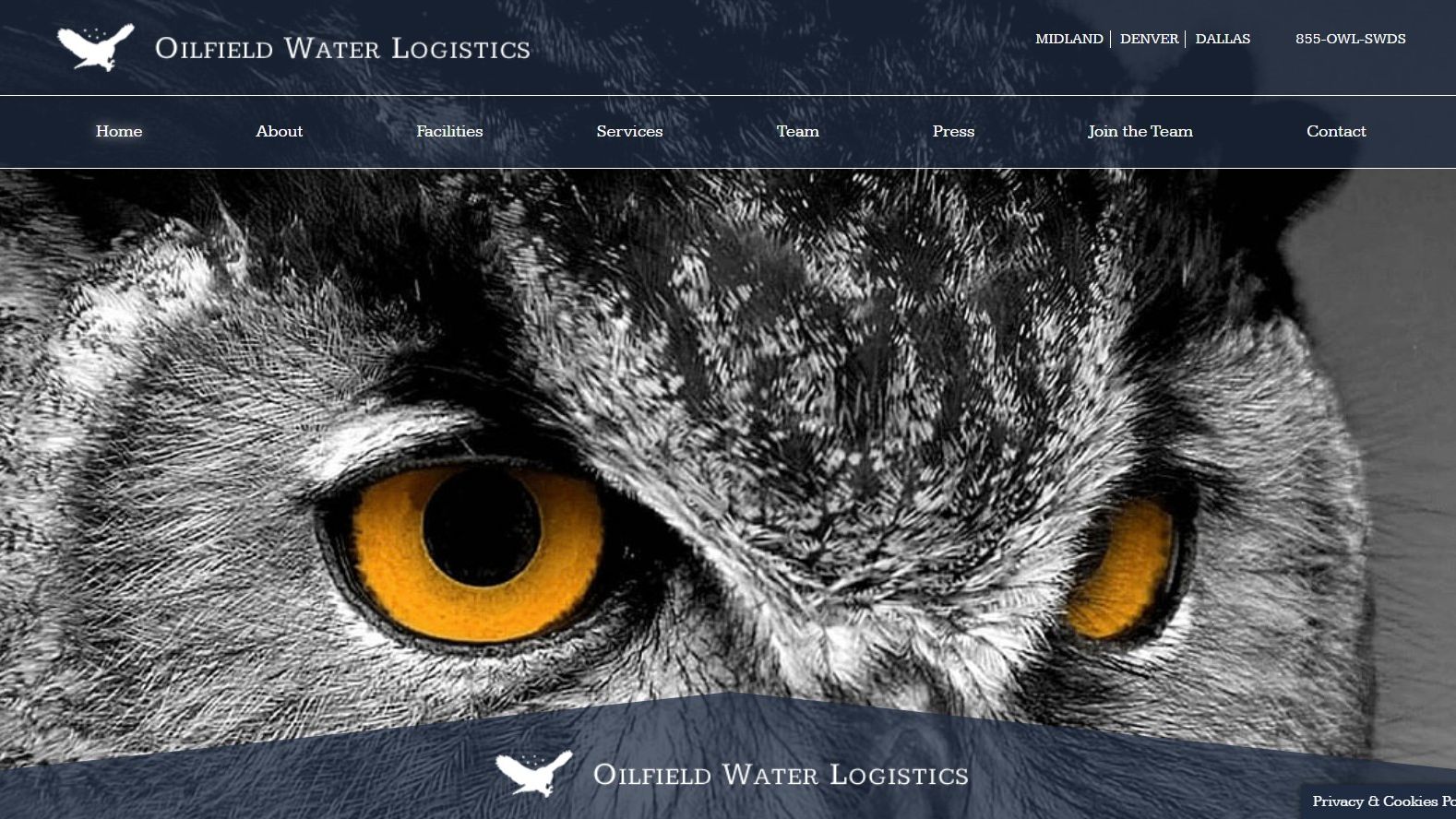 OWL website