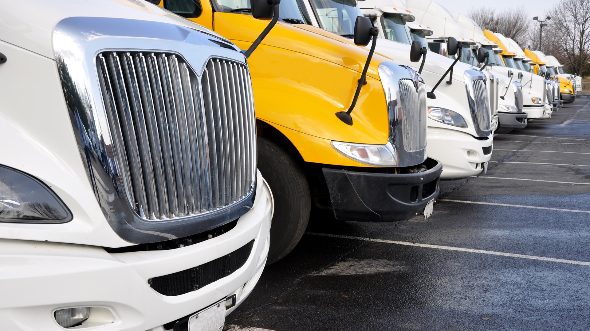 103257323 164330701795461 4566995550562580880 N