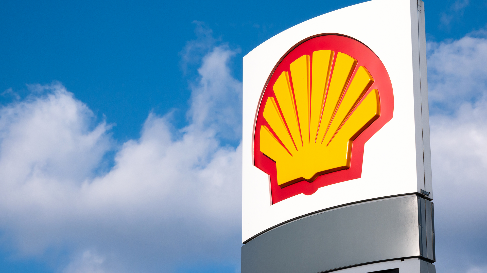 Shell 216994388 Tomasz Migla Dreamstime 618ae873d3597 618d219b172bb