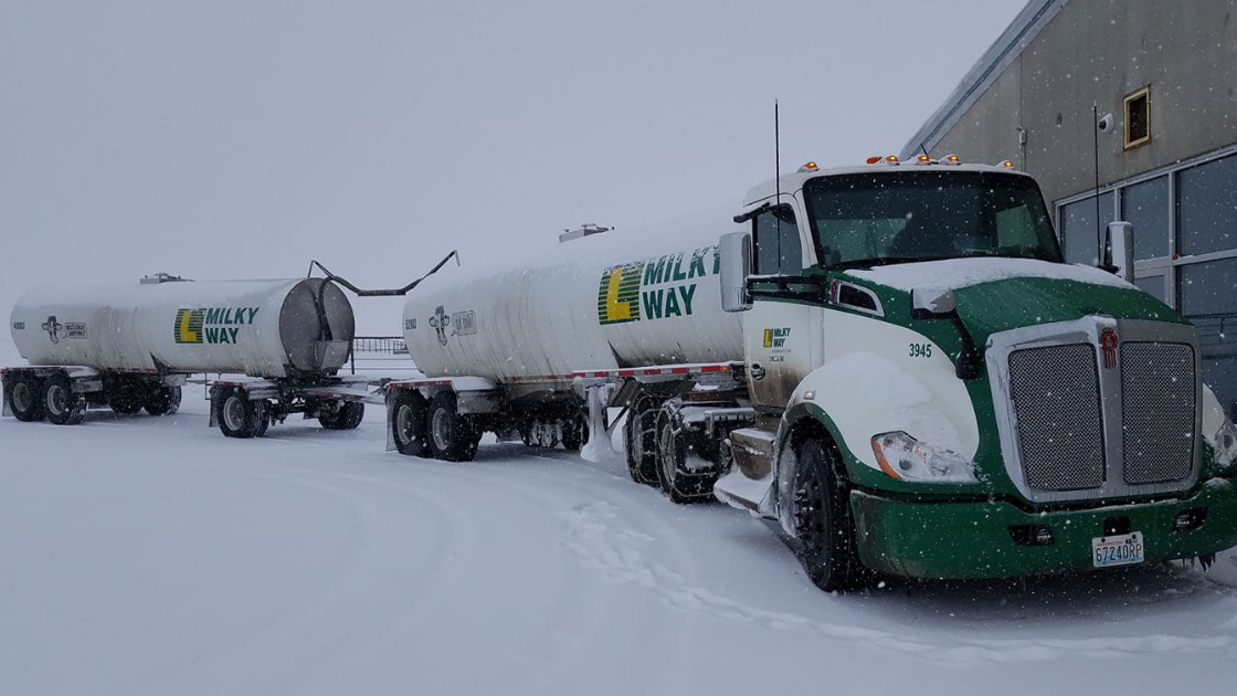 Lynden My Project 32 62444d0e2c230