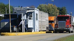 Dreamstime Xxl 23162257 63ec0867ea980 63ee46032f544 Dreamstime Xxl 23162257 63ec0867ea980 63ee46032f544