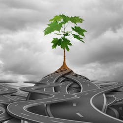 Dreamstime Xxl 169210001 641da53179db8 Dreamstime Xxl 169210001 641da53179db8