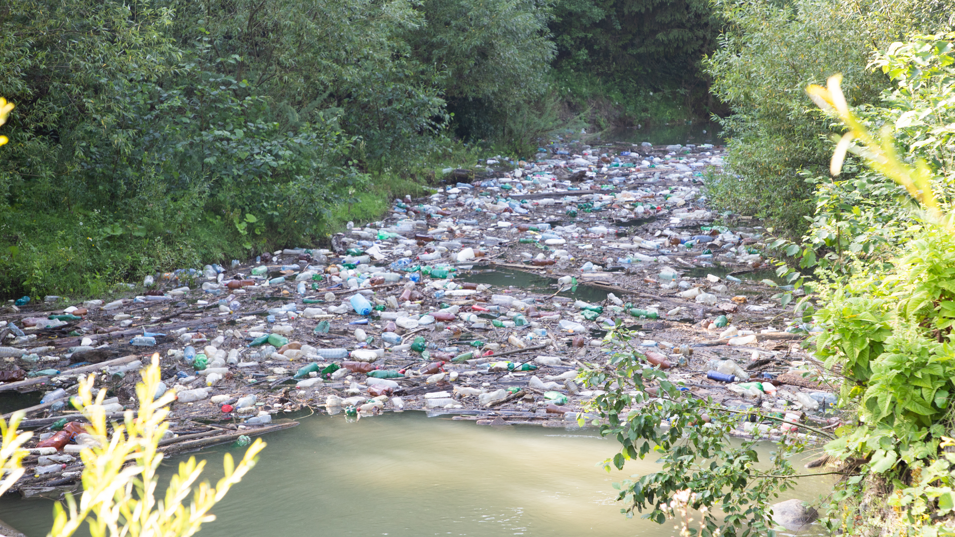 Adobe Stock 371083955