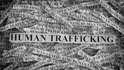 Dreamstime M 96678581 6480b52b2930b 648338afcb3f2 Dreamstime M 96678581 6480b52b2930b 648338afcb3f2