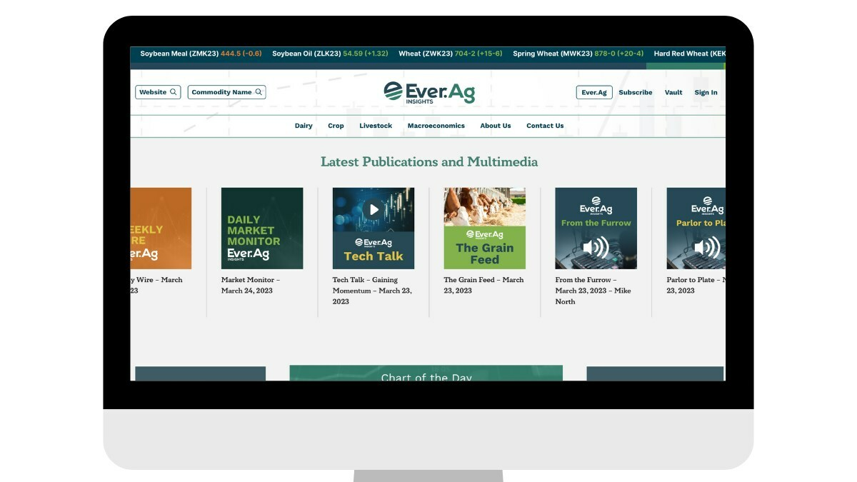 Insights Portal Desktop Preview 64f1f570e8561