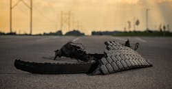 655ce1b7fc6950001edd8ba6 Rdr2313bulktransportcostofownershipfeaturedimagev0 655ce1b7fc6950001edd8ba6 Rdr2313bulktransportcostofownershipfeaturedimagev0