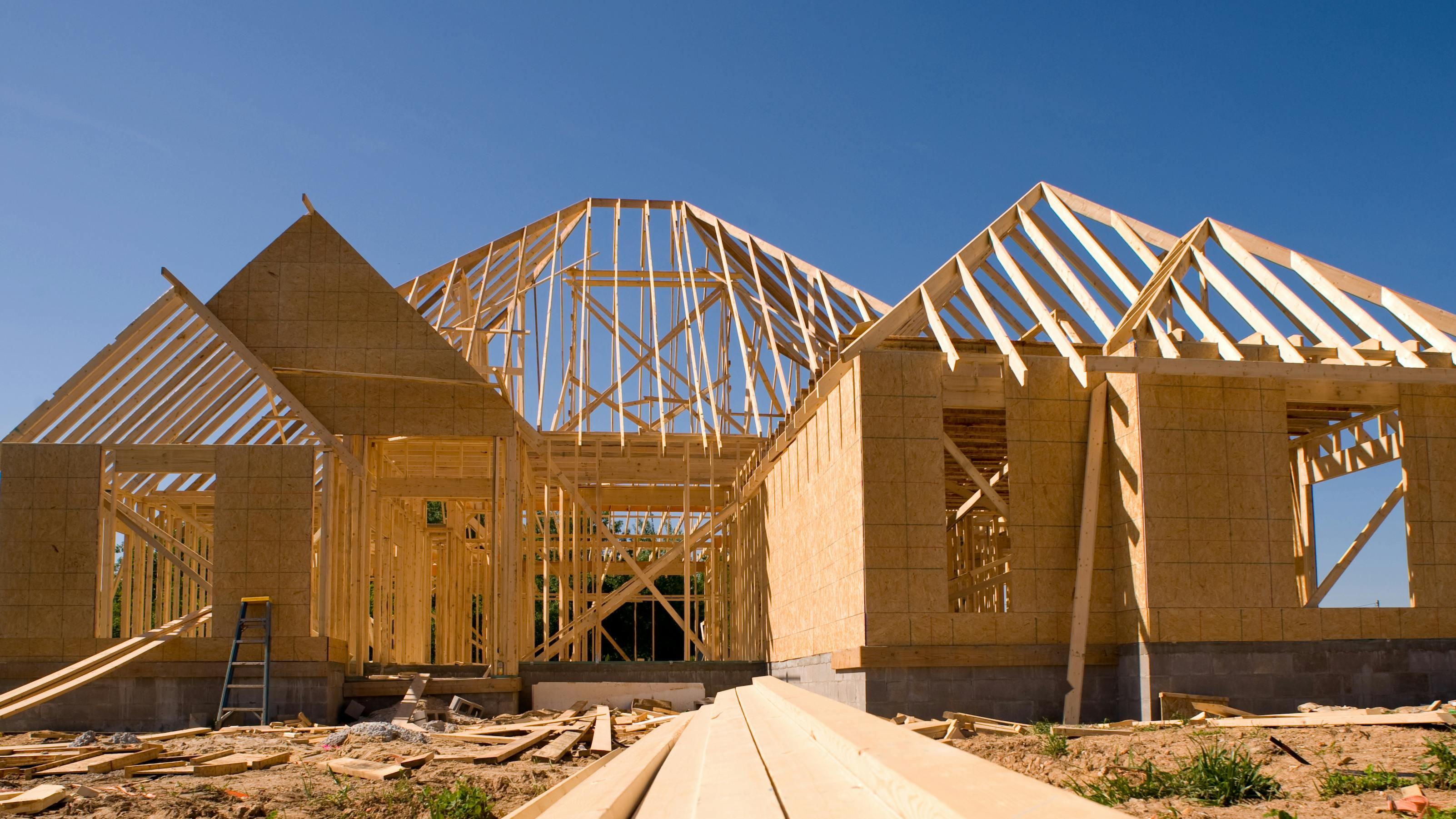 65a6c7ec6b6b73001e09d841 Adobestock 7922687