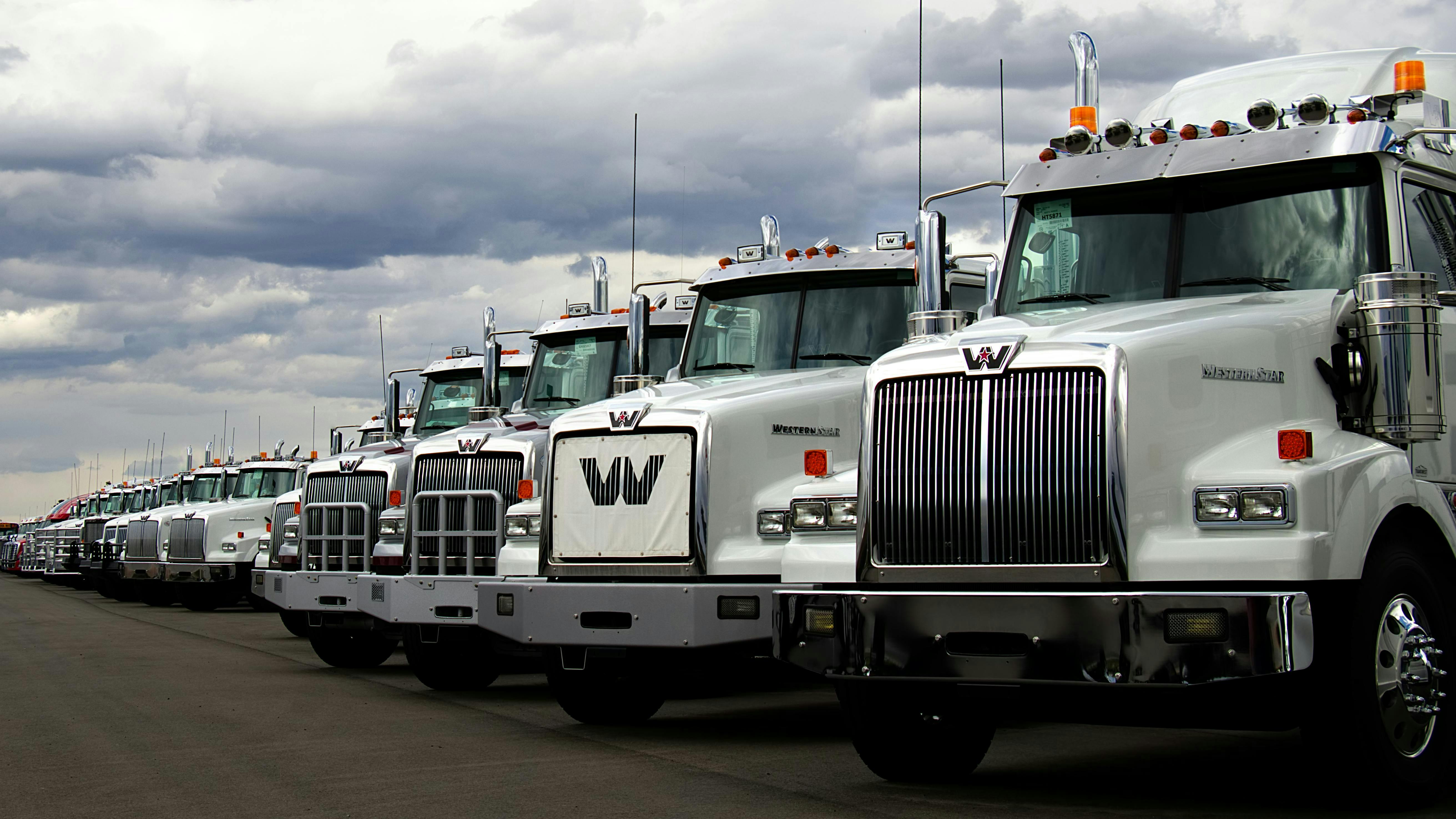 6617daa77a2561001eaf73fb 66102d354af5ce001ef4c964dreamstime Xxl 92991938