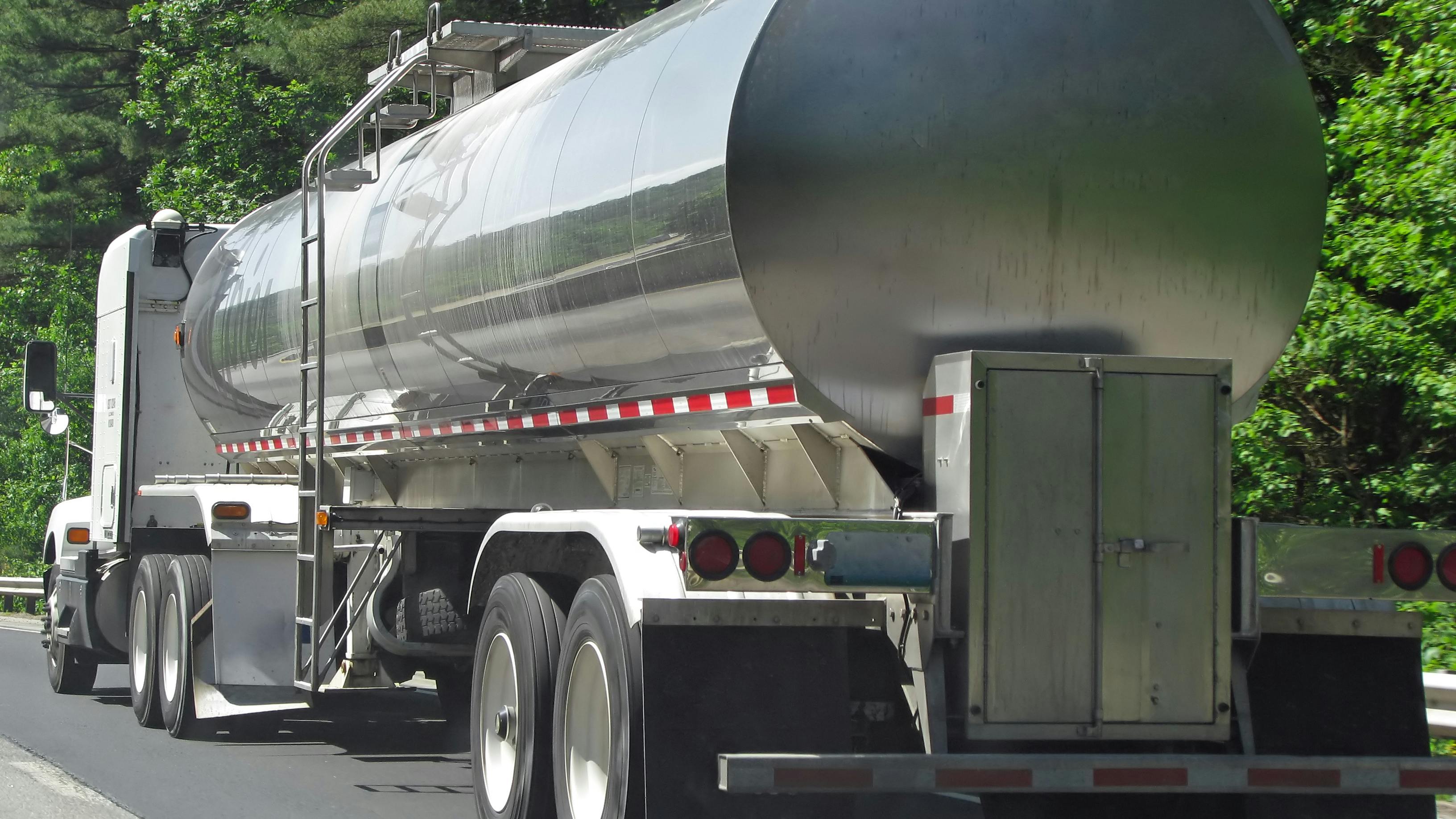 66bf8b104db01f56cf4421ad Adobestock 8264292