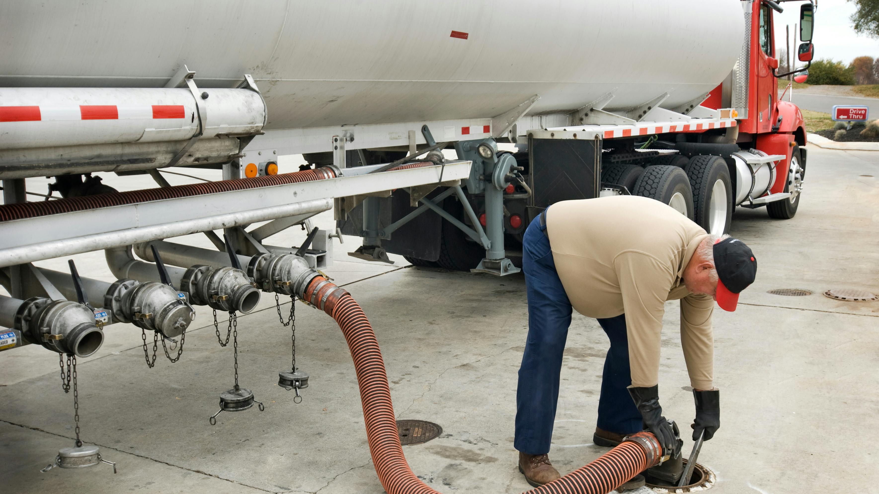 6707e118f32fa26ea1019b4a Adobestock 71666745