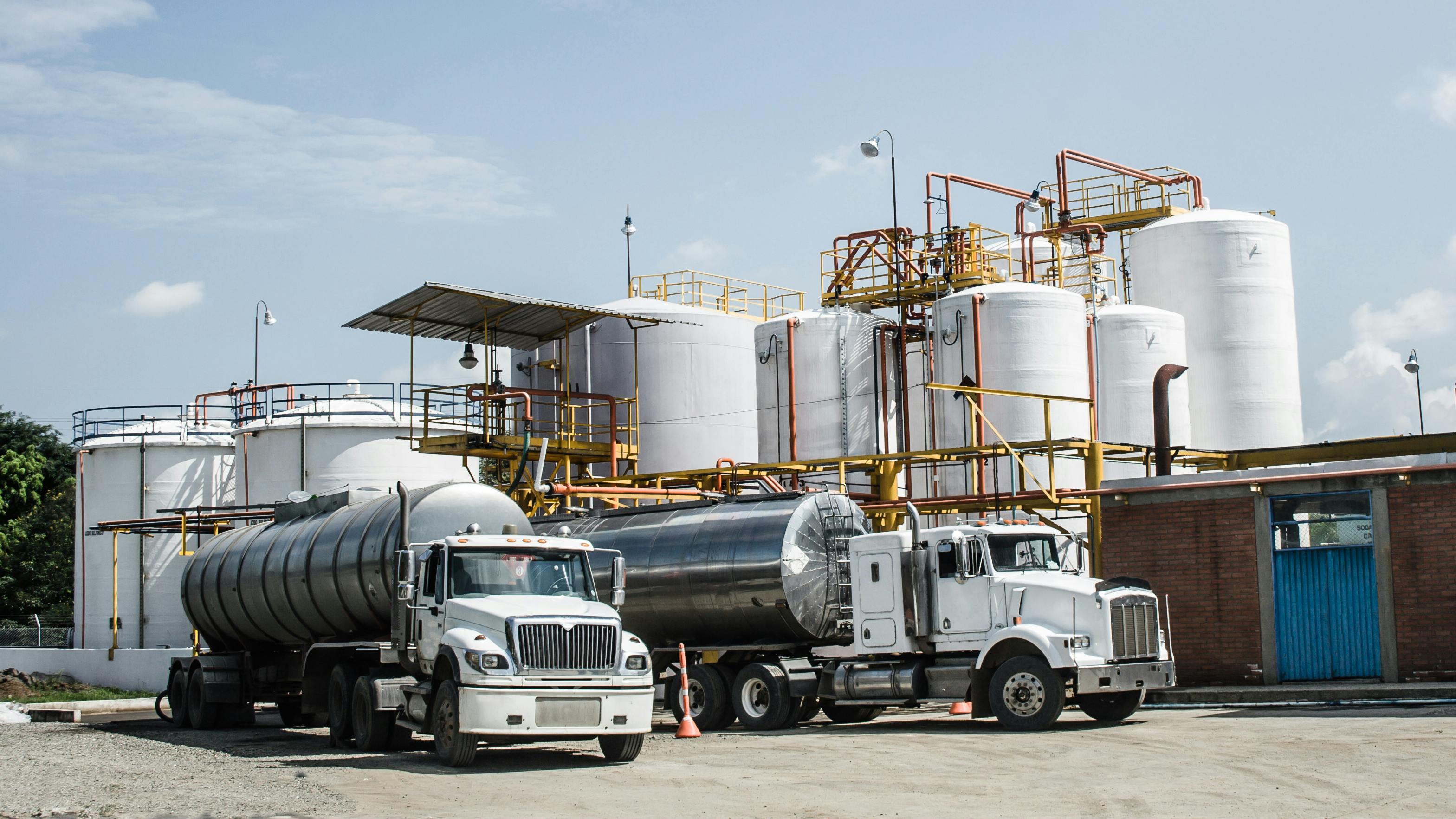 673cac6f29d592708f603295 Adobestock 45278434