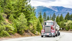 6869482366b8a8720f7b4d50 Adobestock 441853704 6869482366b8a8720f7b4d50 Adobestock 441853704