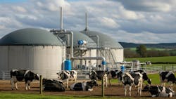 Circularity says its proprietary, electric-powered Ouro Reactor successfully processed raw biogas from a working dairy farm’s covered lagoon digester, converting methane and carbon dioxide that would typically be flared or vented into valuable fuel components. Circularity says its proprietary, electric-powered Ouro Reactor successfully processed raw biogas from a working dairy farm’s covered lagoon digester, converting methane and carbon dioxide that would typically be flared or vented into valuable fuel components.